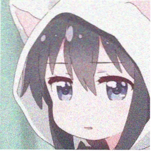 追更观众头像